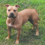 Profile Picture of Matt Unkrich (@mattunkrich6906) on Youtube