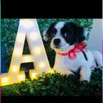 Profile Picture of Rivera Xilone (@acevedoismenia) on Instagram