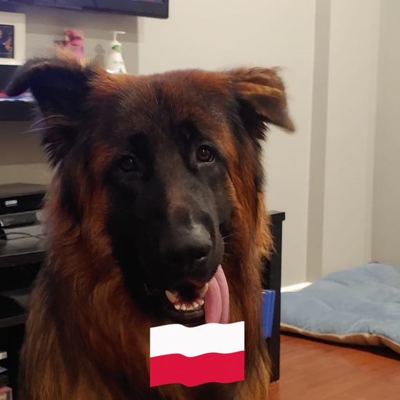 Profile Picture of Marcin Pieczykolan (@marcin_phili) on Poshmark