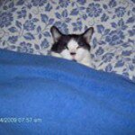 Profile Picture of Haley Stokes (@haleystks) on Instagram