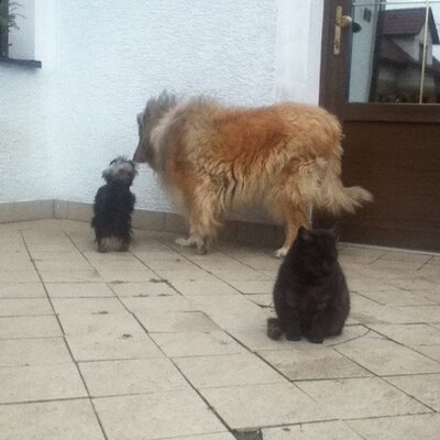 Profile Picture of Peter Baca (@DrobecY) on Twitter