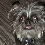 Profile Picture of Dylan 