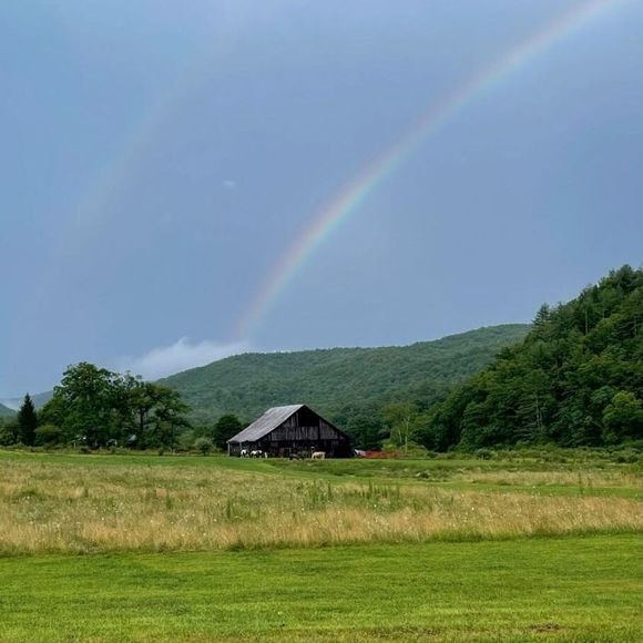 Profile Picture of Shirley Farrell (@sfarrell0193) on Poshmark