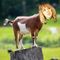 Profile Picture of Geoffrey Mott (@gee.mottzilla.9) on Facebook