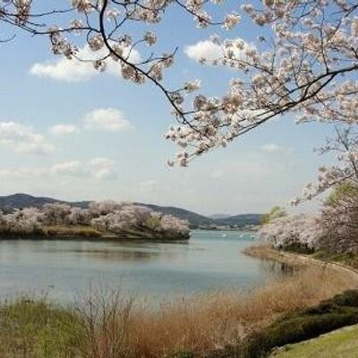 Profile Picture of Lee Chang-hyeong (@selfregardblue) on Twitter