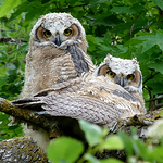 Profile Picture of Mark Van Wyk (@Pitt 87) on Flickr