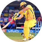 Profile Picture of Paul Crivello (@liverpact) on Instagram