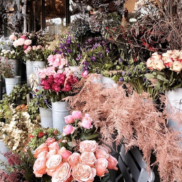 Profile Picture of Kara Liedka (@kliedka) on Poshmark