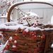 Profile Picture of Karen Mccusker (@karenmccusker50) on Pinterest