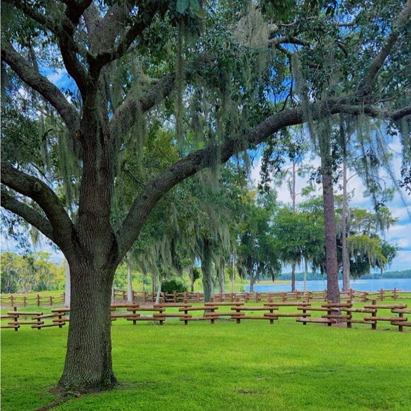 Profile Picture of A j Weigel (@spoiledbanana) on Poshmark