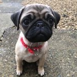 Profile Picture of Mel Sutherland (@mi55es) on Instagram