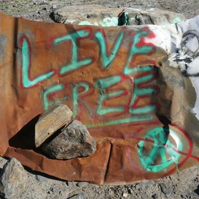 Profile Picture of Chris Sheridan (@ChrisSh94620930) on Twitter