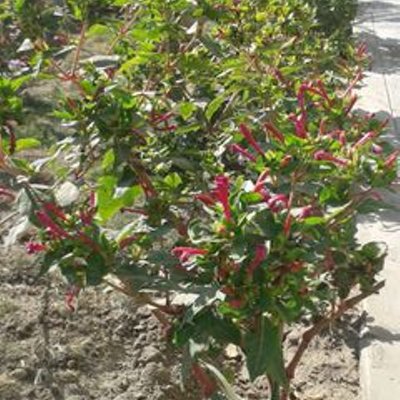 Profile Picture of Jordyn Ramirez (@21Jordyn) on Twitter