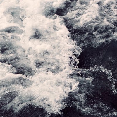 Profile Picture of Iris Xu (@irisxu7188) on Twitter