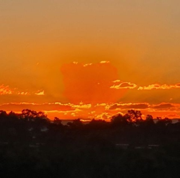 Federica Bonaccorsi - Poshmark Profile Picture of Federica Bonaccorsi (@fbonaccorsi) on Poshmark