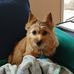 Profile Picture of Jerry Neubert (@jerry.neubert) on Facebook