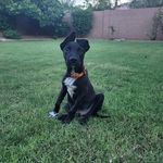 Profile Picture of Bruce Field-Sublett (@theysaymynameis_bruce_bruce) on Instagram