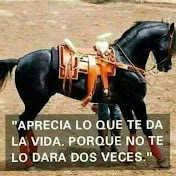 Javier Catano - Youtube Profile Picture of Javier Catano (@javiercatano5979) on Youtube