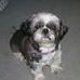 Profile Picture of David Freiss (@david.freiss.39) on Facebook