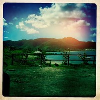 Profile Picture of Joanna Toft (@joanna-toft) on Quora