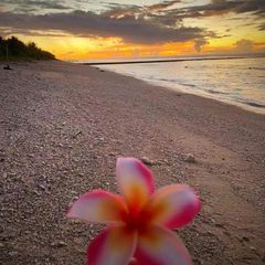 Profile Picture of Terese Dillon (@teresedillon) on Tiktok