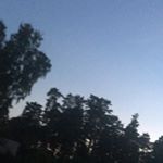 Profile Picture of Марк Фомин (@murat.lobin) on Instagram