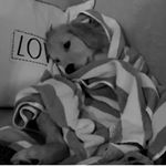 Profile Picture of Daniela Richardson (@danielarichardson1999) on Instagram