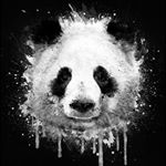 Profile Picture of 😌😈Andrew Arteaga😈😌 (@pandas4weal) on Instagram