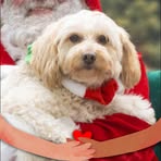 Profile Picture of Michelle Koterba Getty (@michelle.getty.35) on Facebook