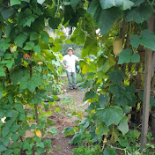 Profile Picture of Paul Davies (@Oursharedgarden) on Youtube