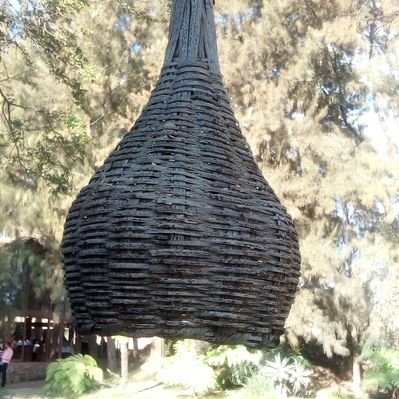 Profile Picture of Isabel Balboa (@IsabelBalboa) on Twitter