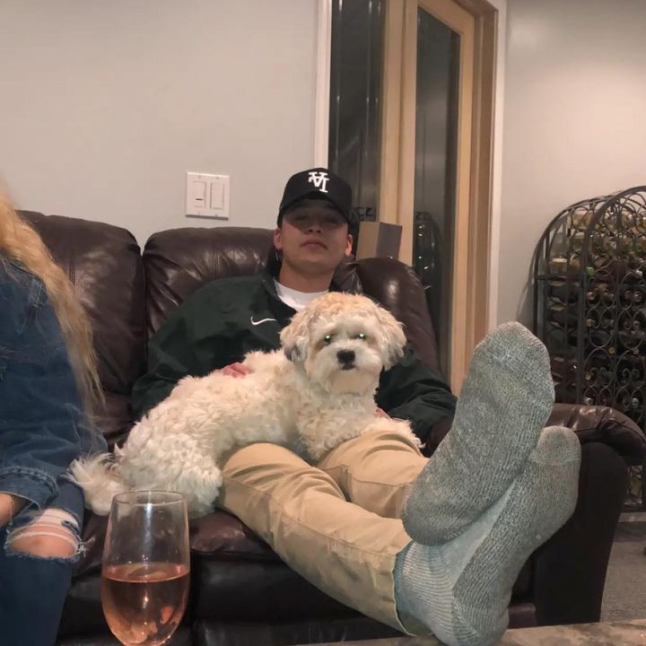 Profile Picture of   Andrew Nguyen... (@andrewdannguyen) on Tiktok