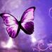 Profile Picture of Lisa Manno (@Lisa-Manno) on Facebook