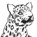 Profile Picture of Peter Wagstaff (@peter.wagstaff.79) on Instagram