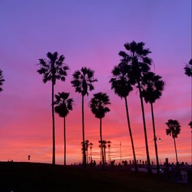 Profile Picture of Kristen Hinds (@hinds2724) on Pinterest