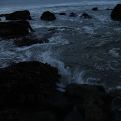 Profile Picture of Alexia Armstrong (@alexiaarmstrong8211) on Youtube