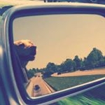 Profile Picture of Jeff MOUNTZ (@jmountz) on Instagram