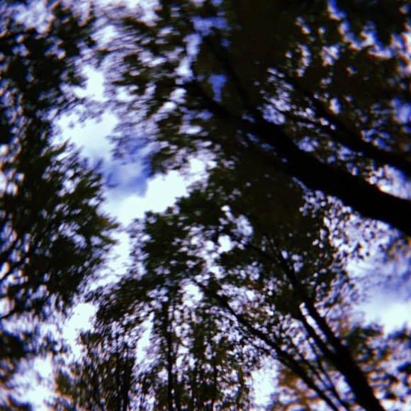 Profile Picture of Drew Kiefer (@drewmkk) on Poshmark