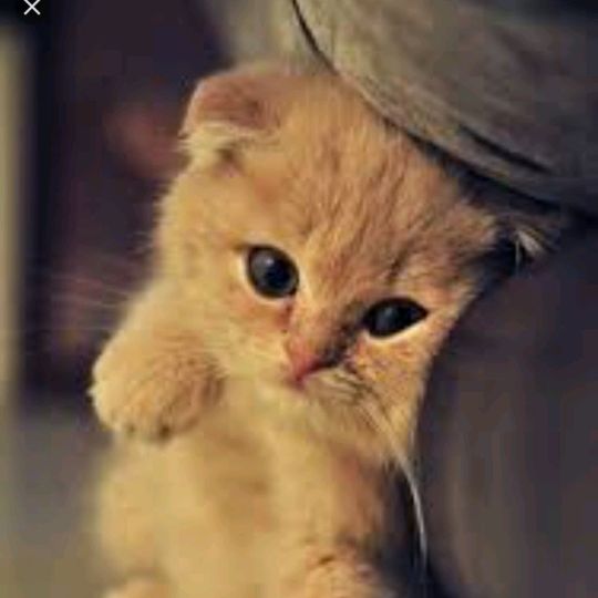 Profile Picture of floydeat (@floydeat) on Tiktok