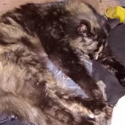 Profile Picture of Steven Blackwell (@stevenblackwelljp) on Youtube