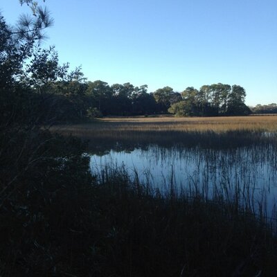 Profile Picture of Barry Reynolds (@BarryBReynolds) on Twitter