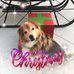 Profile Picture of Lisa McMaster (@lisa.mcmaster.397) on Facebook
