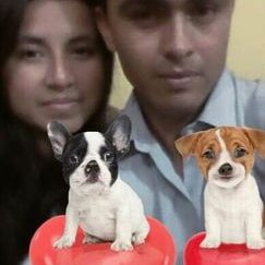 Giancarlo Ato Zapata - Twitter Profile Picture of Giancarlo Ato Zapata (@ato_zapata) on Twitter