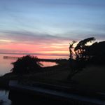 Profile Picture of Jason Thuringer (@jasonthuringernc) on Instagram