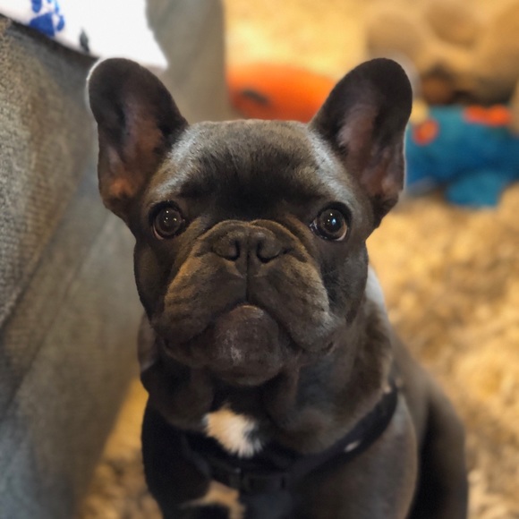 Profile Picture of Ian Hernandez (@itsian) on Poshmark