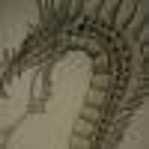 Profile Picture of Daniel Strohmeier (@336979228) on Myspace