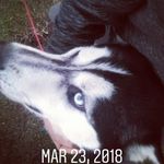 Profile Picture of Brianna Tanner (@brianna.tanner.16) on Instagram