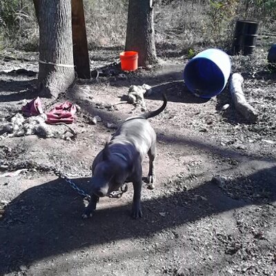 Profile Picture of Carlos Bradley (@cbradley601) on Twitter
