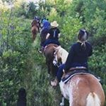 Profile Picture of Joanne Badgerow (@joannebadgerow) on Instagram