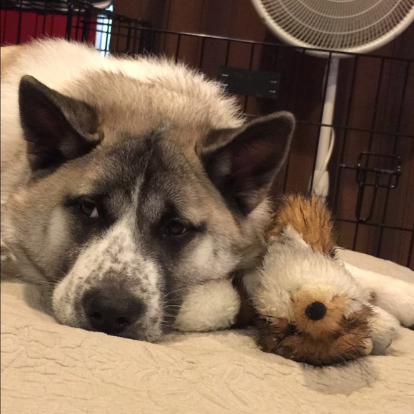 Heather M - Poshmark Profile Picture of Heather M (@hmoscheo) on Poshmark